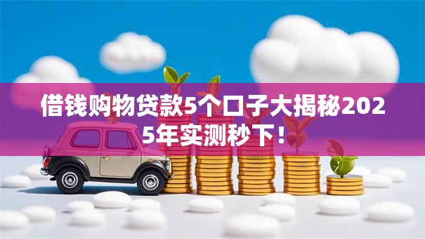 借钱购物贷款5个口子大揭秘2025年实测秒下！
