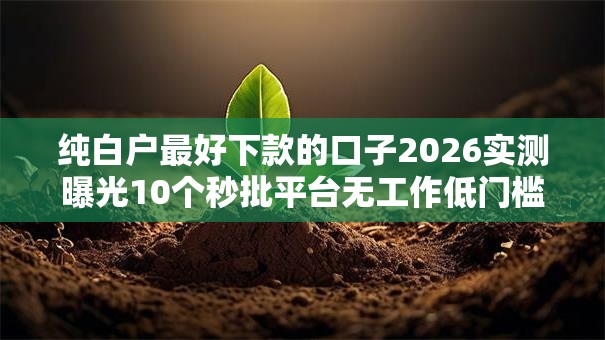纯白户最好下款的口子2026实测曝光10个秒批平台无工作低门槛秒下！