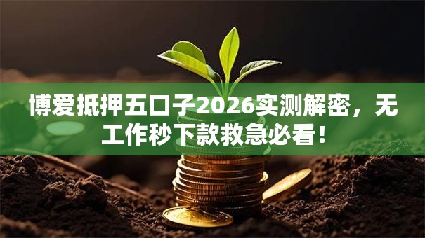 博爱抵押五口子2026实测解密，无工作秒下款救急必看！