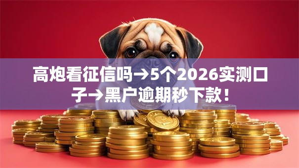 高炮看征信吗→5个2026实测口子→黑户逾期秒下款！