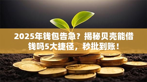 2025年钱包告急？揭秘贝壳能借钱吗5大捷径，秒批到账！