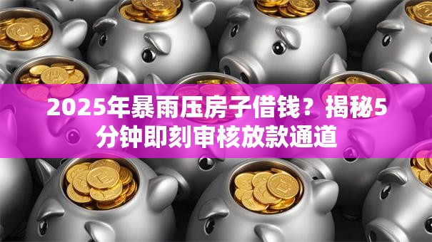 2025年暴雨压房子借钱？揭秘5分钟即刻审核放款通道