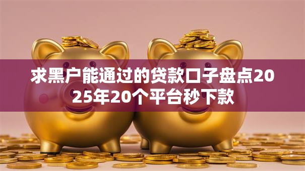求黑户能通过的贷款口子盘点2025年20个平台秒下款