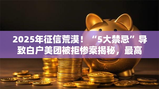 2025年征信荒漠！“5大禁忌”导致白户美团被拒惨案揭秘，最高20万秒批，100%秒下！