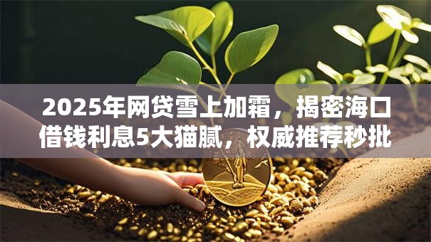 2025年网贷雪上加霜，揭密海口借钱利息5大猫腻，权威推荐秒批通道！