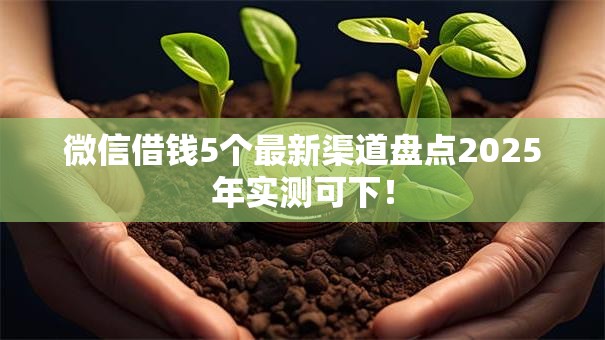 微信借钱5个最新渠道盘点2025年实测可下！