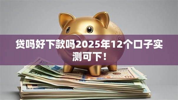 贷吗好下款吗2025年12个口子实测可下！