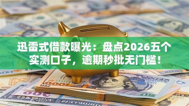 迅雷式借款曝光：盘点2026五个实测口子，逾期秒批无门槛！
