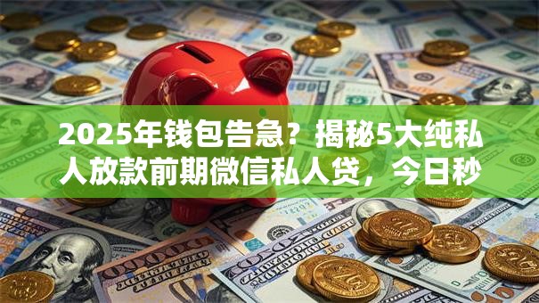 2025年钱包告急？揭秘5大纯私人放款前期微信私人贷，今日秒批！
