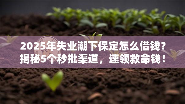 2025年失业潮下保定怎么借钱？揭秘5个秒批渠道，速领救命钱！