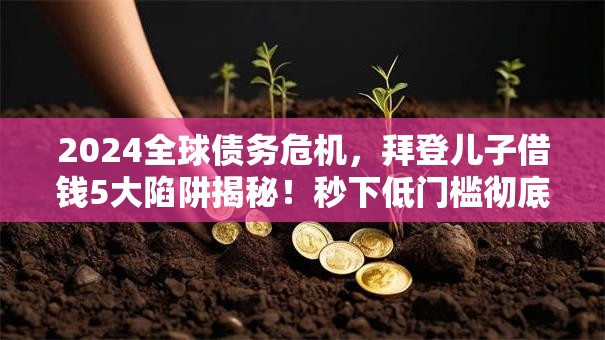 2024全球债务危机，拜登儿子借钱5大陷阱揭秘！秒下低门槛彻底讲透！