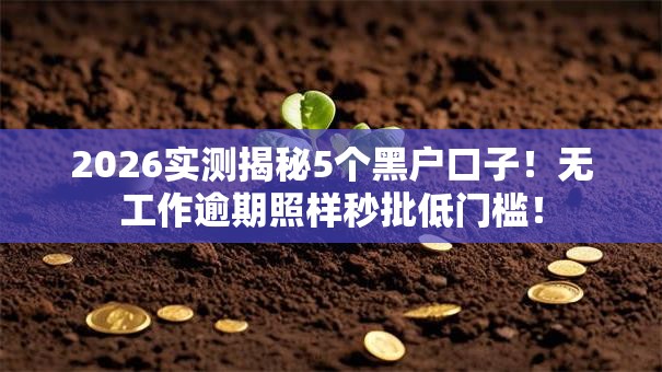 2026实测揭秘5个黑户口子！无工作逾期照样秒批低门槛！