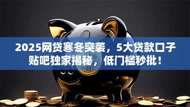 2025网贷寒冬突袭，5大贷款口子贴吧独家揭秘，低门槛秒批！