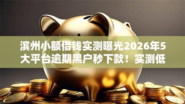 滨州小额借钱实测曝光2026年5大平台逾期黑户秒下款！实测低门槛原样可下