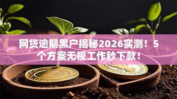 网贷逾期黑户揭秘2026实测！5个方案无视工作秒下款！