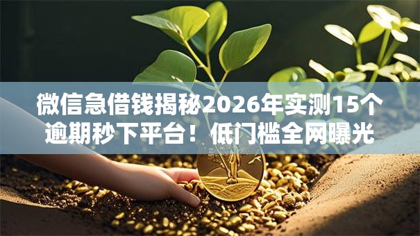 微信急借钱揭秘2026年实测15个逾期秒下平台！低门槛全网曝光黑户可下