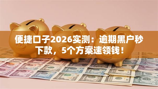 便捷口子2026实测：逾期黑户秒下款，5个方案速领钱！