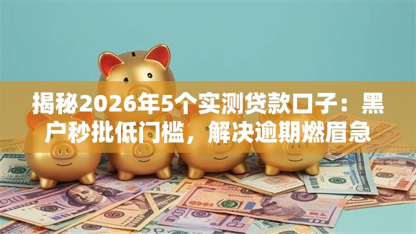 揭秘2026年5个实测贷款口子：黑户秒批低门槛，解决逾期燃眉急！