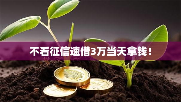 不看征信速借3万当天拿钱! 不看征信速借3万当天拿钱!