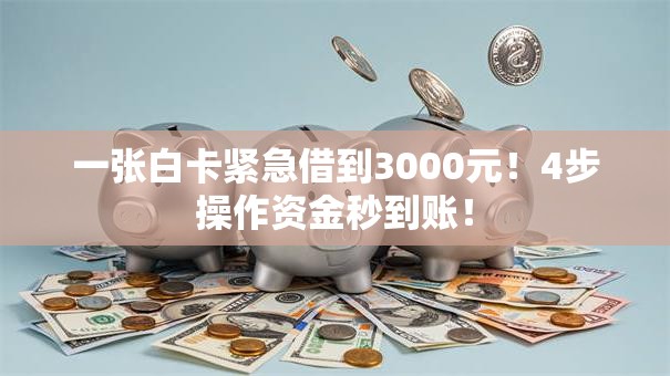 一张白卡紧急借到3000元!4步操作资金秒到账! 一张白卡紧急借到3000元!4步操作资金秒到账!