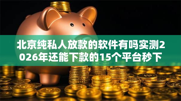 北京纯私人放款的软件有吗实测2026年还能下款的15个平台秒下款无工作黑户也能秒批 北京纯私人放款的软件有吗实测2026年还能下款的15个平台秒下款无工作黑户也能秒批