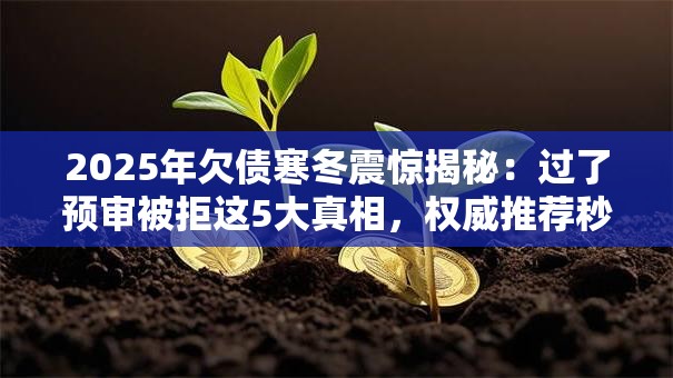 2025年欠债寒冬震惊揭秘:过了预审被拒这5大真相,权威推荐秒下款! 2025年欠债寒冬震惊揭秘:过了预审被拒这5大真相,权威推荐秒下款!