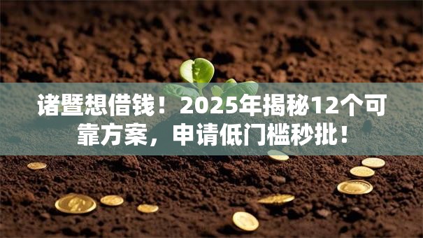 诸暨想借钱！2025年揭秘12个可靠方案，申请低门槛秒批！