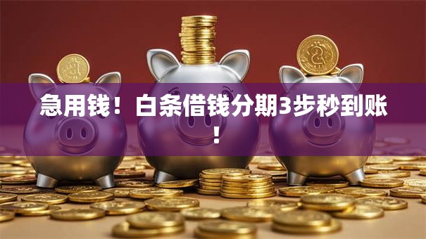 急用钱！白条借钱分期3步秒到账！