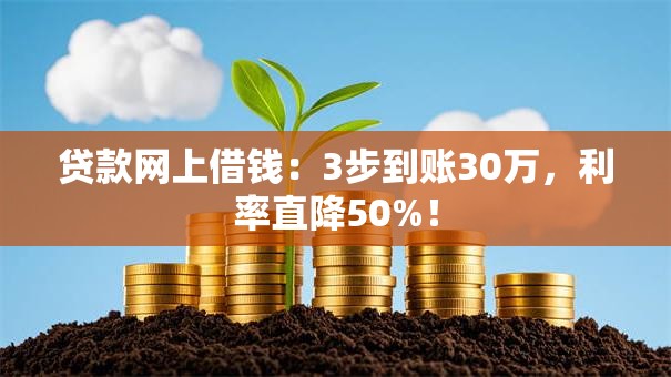 贷款网上借钱：3步到账30万，利率直降50%！