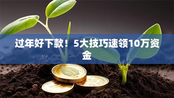 过年好下款!5大技巧速领10万资金 过年好下款!5大技巧速领10万资金