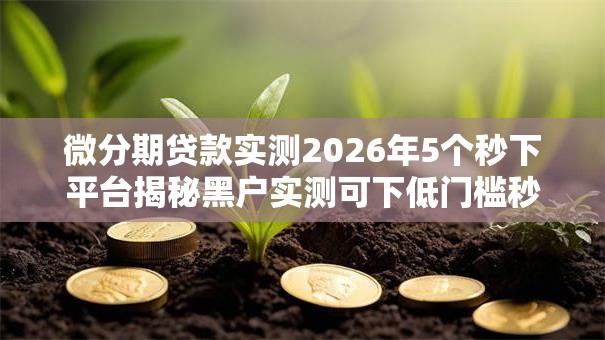 微分期贷款实测2026年5个秒下平台揭秘黑户实测可下低门槛秒批 微分期贷款实测2026年5个秒下平台揭秘黑户实测可下低门槛秒批