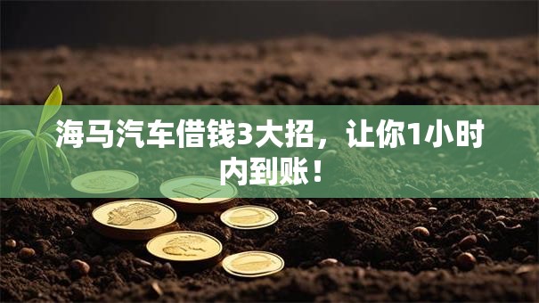 海马汽车借钱3大招,让你1小时内到账! 海马汽车借钱3大招,让你1小时内到账!