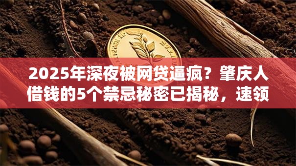 2025年深夜被网贷逼疯?肇庆人借钱的5个禁忌秘密已揭秘,速领秒批! 2025年深夜被网贷逼疯?肇庆人借钱的5个禁忌秘密已揭秘,速领秒批!