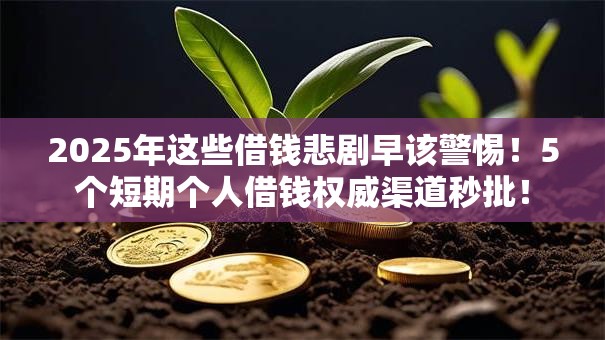 2025年这些借钱悲剧早该警惕!5个短期个人借钱权威渠道秒批! 2025年这些借钱悲剧早该警惕!5个短期个人借钱权威渠道秒批!