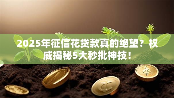2025年征信花贷款真的绝望?权威揭秘5大秒批神技! 2025年征信花贷款真的绝望?权威揭秘5大秒批神技!