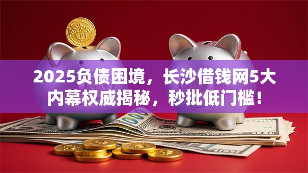 2025负债困境，长沙借钱网5大内幕权威揭秘，秒批低门槛！