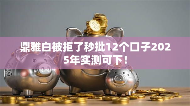 鼎雅白被拒了秒批12个口子2025年实测可下! 鼎雅白被拒了秒批12个口子2025年实测可下!