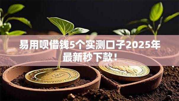 易用呗借钱5个实测口子2025年最新秒下款! 易用呗借钱5个实测口子2025年最新秒下款!