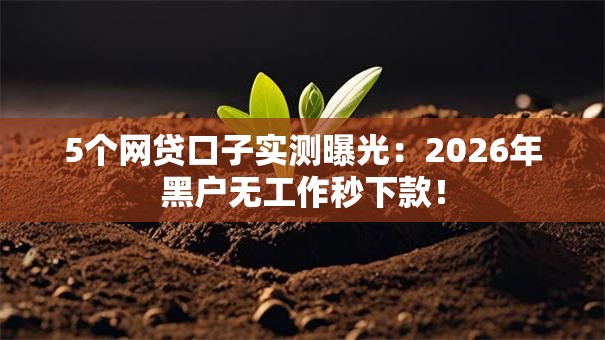 5个网贷口子实测曝光:2026年黑户无工作秒下款! 5个网贷口子实测曝光:2026年黑户无工作秒下款!