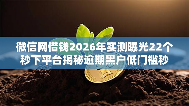 微信网借钱2026年实测曝光22个秒下平台揭秘逾期黑户低门槛秒批！