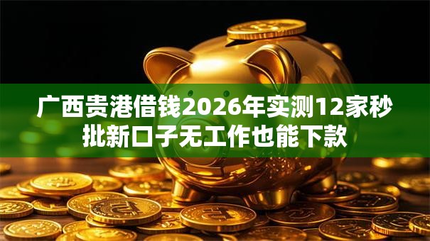广西贵港借钱2026年实测12家秒批新口子无工作也能下款 广西贵港借钱2026年实测12家秒批新口子无工作也能下款