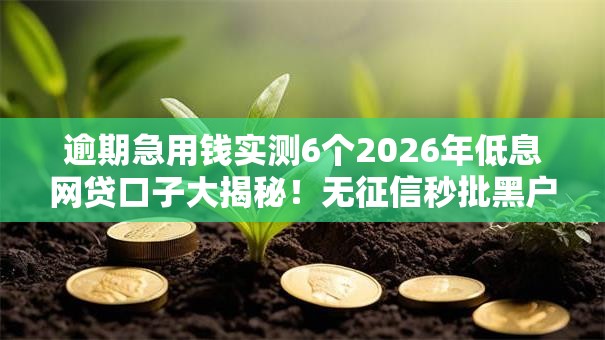 逾期急用钱实测6个2026年低息网贷口子大揭秘!无征信秒批黑户下款方案! 逾期急用钱实测6个2026年低息网贷口子大揭秘!无征信秒批黑户下款方案!