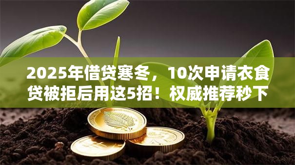 2025年借贷寒冬,10次申请衣食贷被拒后用这5招!权威推荐秒下款! 2025年借贷寒冬,10次申请衣食贷被拒后用这5招!权威推荐秒下款!