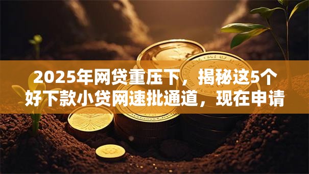 2025年网贷重压下,揭秘这5个好下款小贷网速批通道,现在申请门槛低至惊人! 2025年网贷重压下,揭秘这5个好下款小贷网速批通道,现在申请门槛低至惊人!