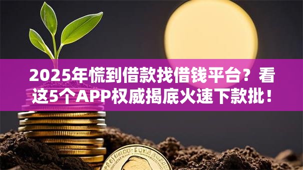 2025年慌到借款找借钱平台？看这5个APP权威揭底火速下款批！