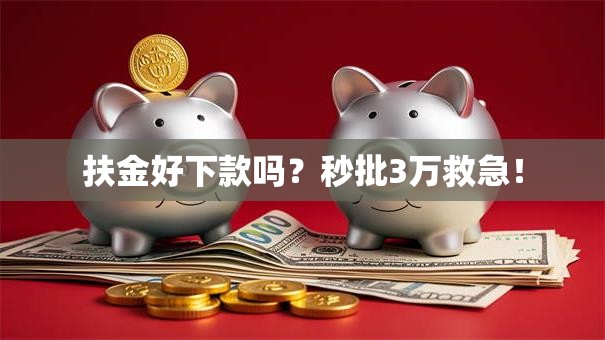 扶金好下款吗？秒批3万救急！