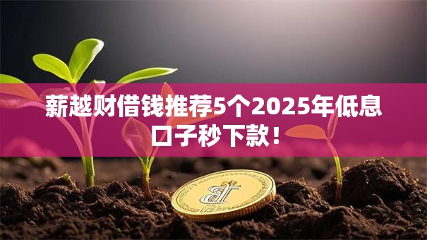 薪越财借钱推荐5个2025年低息口子秒下款！