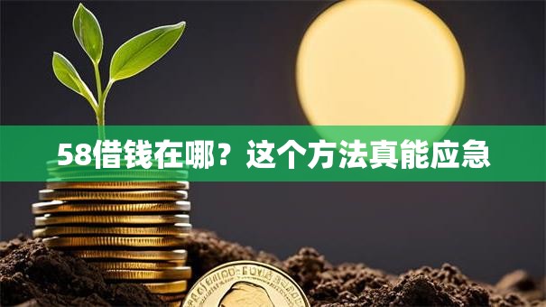 58借钱在哪？这个方法真能应急