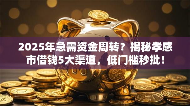 2025年急需资金周转？揭秘孝感市借钱5大渠道，低门槛秒批！