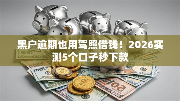 黑户逾期也用驾照借钱！2026实测5个口子秒下款
